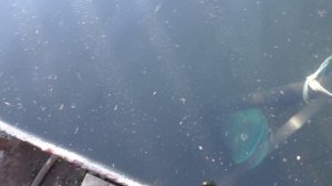 Подача воды на мой участок