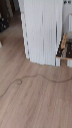 ежедневная работа