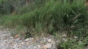 19.07.Анапа.330ступеней. Новая набережная.