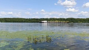 🌳 Плёс  ❗💚на пляже 🚢