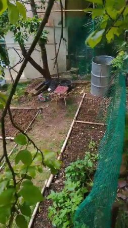 мы начинаем сезон, не смотря но море слизней и природные аномалии
