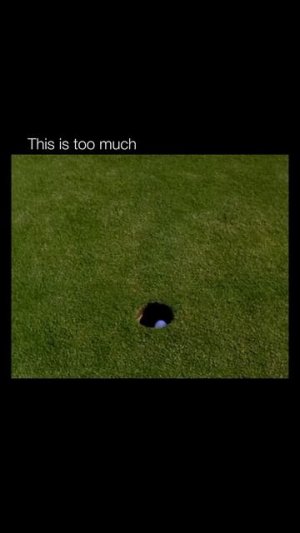 1000064721.mp4