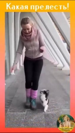 Ай, да молодцы какие 👍👍👍