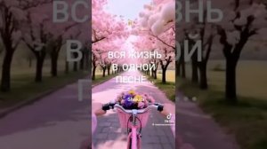 Про жизнь...