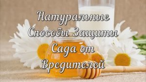 Натуральные Способы Защиты Сада от Вредителей