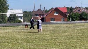 8 Отл. Баларис КЭНОН +++ №18. КЧК ТЮМЕНЬ 5 июля`25 Моно немецких овчарок