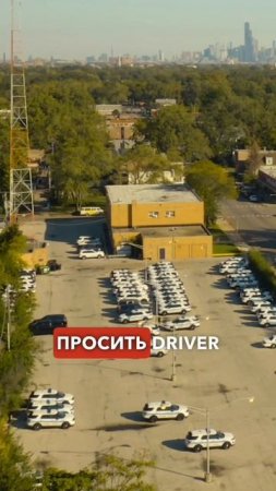 Отобрали права в США! 9 лет без документов в Америке #сша #иммиграция #uscis