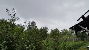 16.07.2025. Дождь не даёт работать в саду. Готовлю тушёную капусту.