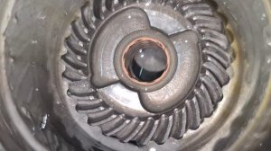 MERCURY (TOHATSU) F6. Чистим карбюратор, ремонтируем редуктор