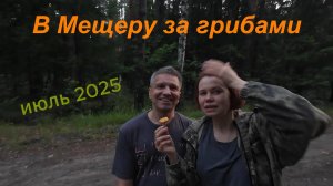 В Мещеру за грибами