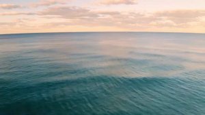 Пророческая пропитка Музыка без слов для молитвы Тихое время с Господом #music #relaxing #иисус (☘️