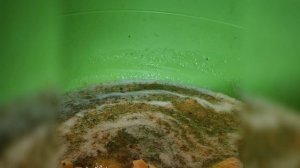 Варенье из крыжовника