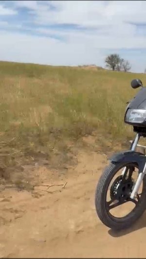 катаю свою собаку)))