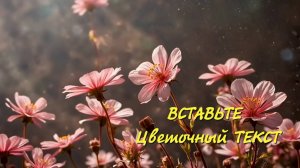 Полевые цветы скачать футажи для видеороликов скачать free