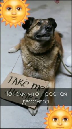 Все живые говорят .Но все- разное. 
И не стоит обсуждать их речи и верить на слово.