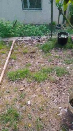 как вам новый вызов? 100% глина
