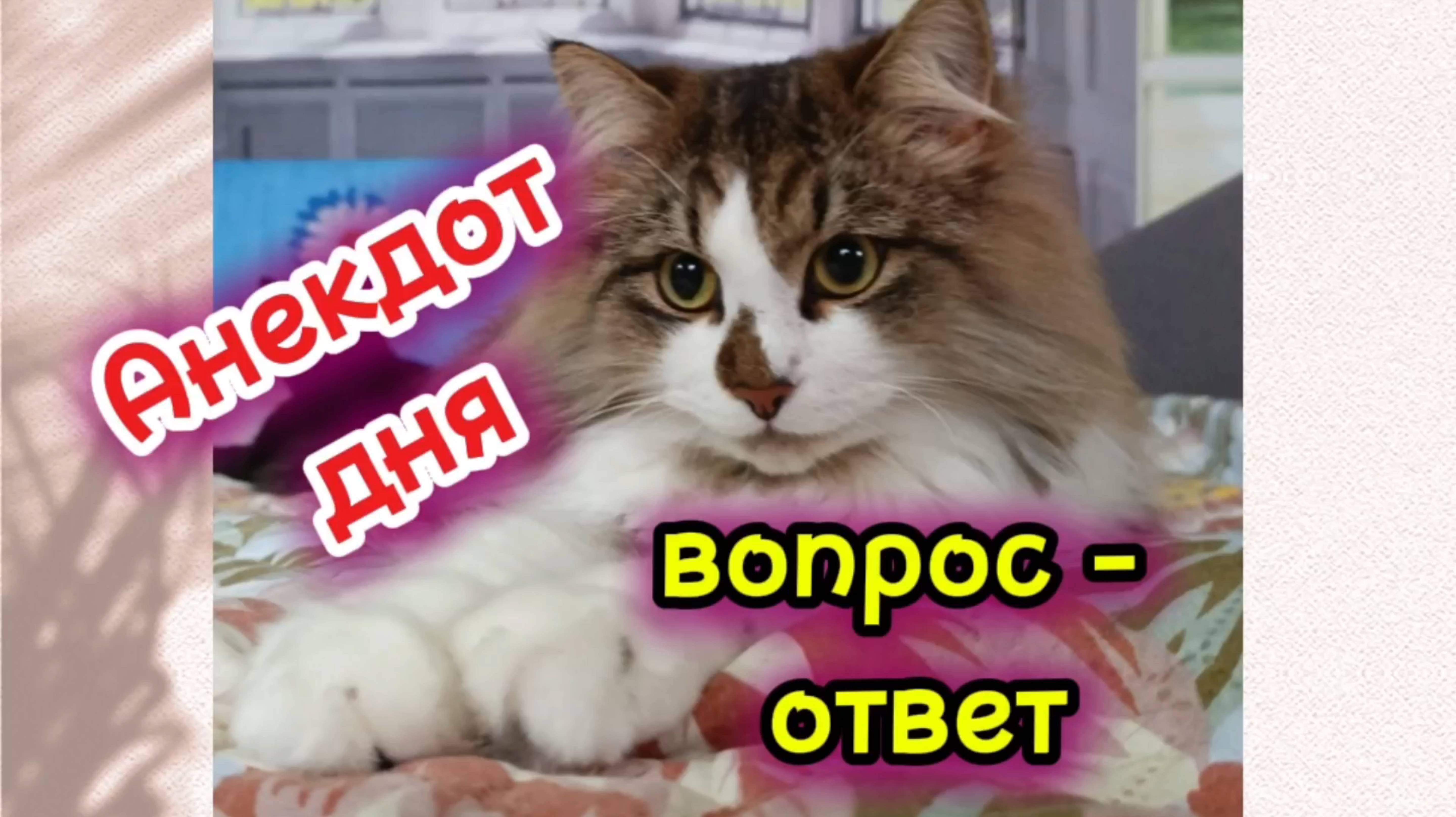 Анекдот дня. Вопро - ответ.
