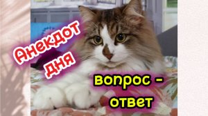 Анекдот дня. Вопро - ответ.