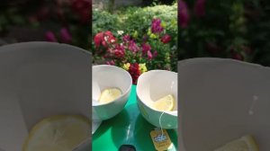 летние