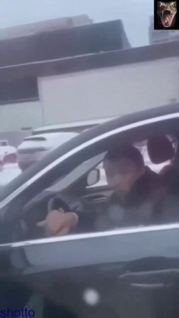 Буйны чабан
