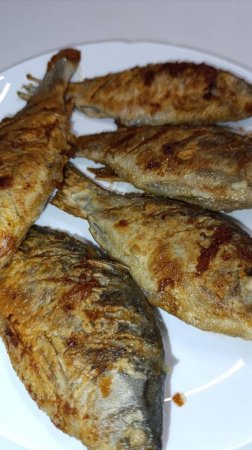 Карасики.