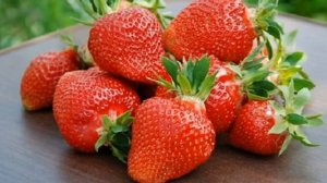 Лучшие сорта земклуники и их основные особенности