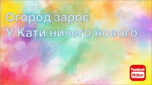 Всё в кучу. Огород зарос, ничего нового в семье Кати. Одно и тоже по кругу