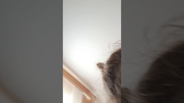 Распаковка бумажного бокса 🎀💄🤍🎀 смотреть онлайн