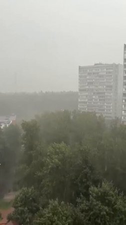 🌧️В Москве и Подмосковье начался обещанный синоптиками дождь🌧️
