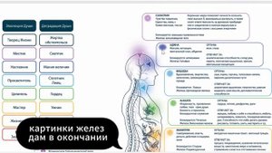 Джуна. центры, чакры
