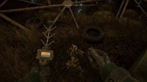 С.Т.А.Л.К.Е.Р. 2 -Аномалия Электрополе