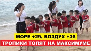Вьетнам Нячанг погода сегодня 19 июля 2025 года ☀️ Жара в Нячанге! Что делать туристам?