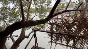 🏝️ Пляжи, бунгало и мангустины — весь Ко Ланта за 1 день
