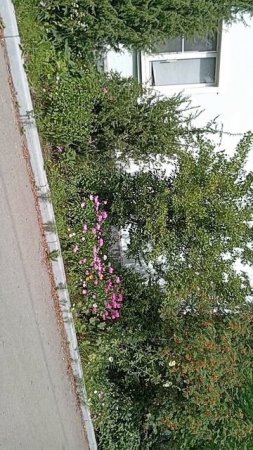 19-07-2025