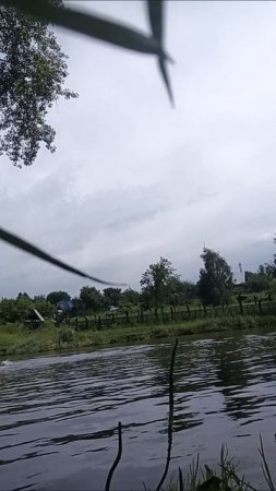 19-07-2025