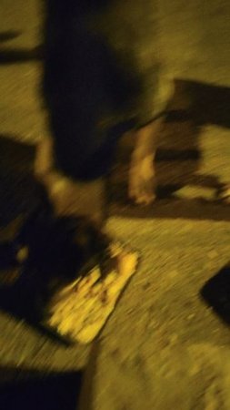 Поделился с Бельчиком хорошей новостью.
