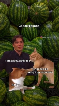 1000035859.mp4