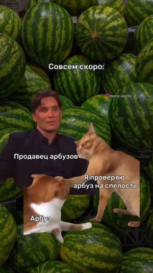 1000035859.mp4