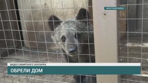 Медвежонок и полярный волк стали новыми жителями зоопарка в Николе