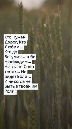 Запомни раз и навсегда что жизнь одна! она — твоя!