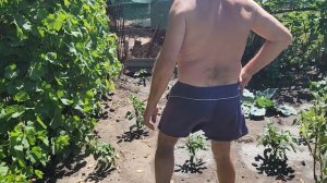 Большинка 2024 ч.3 20240713_102620