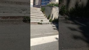 19.07.2025