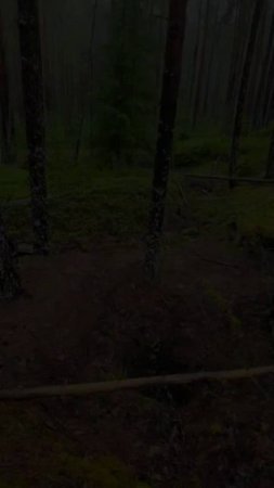 Карелия. Питкяранта. Ниетъярви. Karelia. Pitkäranta. Nietjärvi