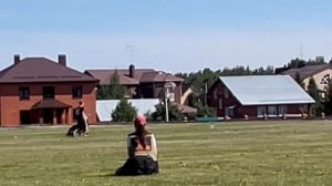 1 Отл. КЧК НИЛЕТТО из Белого Яра +++ №20. КЧК ТЮМЕНЬ 5 июля`25 Моно немецких овчарок