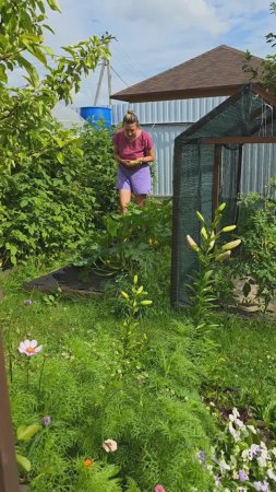 В САДУ #цветы #garden #flowers #shorts