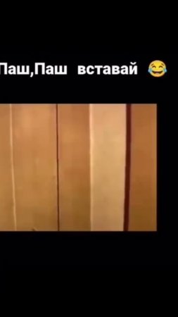Легендарное видео 🤣