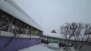 Влог от 24.01.2021