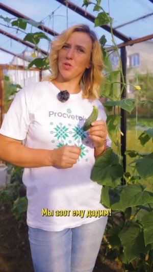 Что не так с огурцами и как исправить? Сохраните!