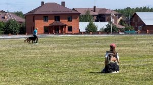 Макс Хоф Хугель ЕРХАН - №22. КЧК ТЮМЕНЬ 5 июля`25 Моно немецких овчарок