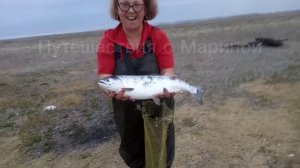 Рыбалка на Сахалине / отдых на море / первая горбуша / Япономорка / 16 июля 2025 года